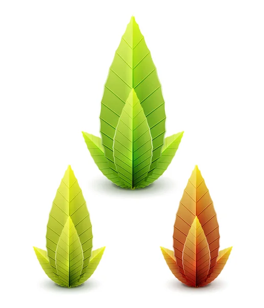 Conjunto vectorial de hojas - concepto de otoño y verano — Vector de stock