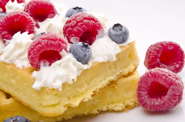 stock image Waffle with fruit