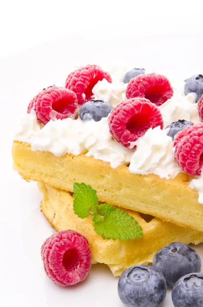 stock image Waffle with fruit