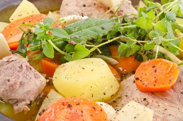 Gemüseeintopf mit Fleisch und Kräutern — Stockfoto