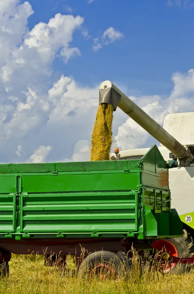 stock image Combine harvester