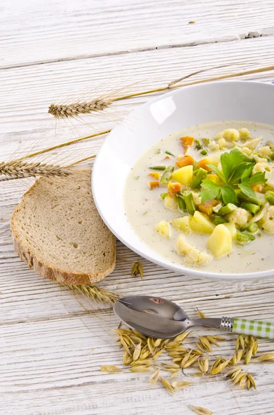 Substantial vegetable soup — Stock Photo, Image