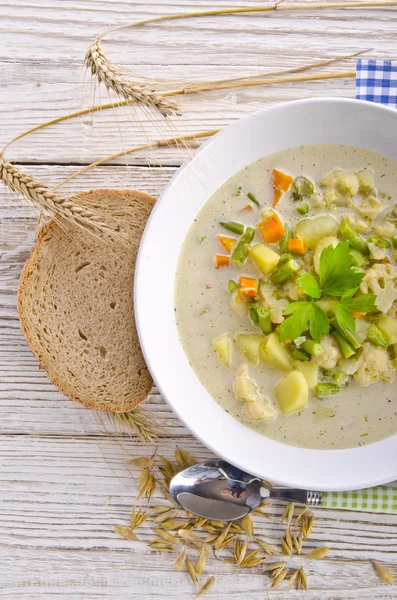 実質的な野菜スープ — ストック写真