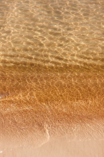 Baltık Denizi kıyısında altın surf — Stok fotoğraf
