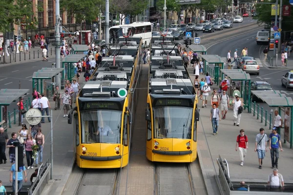 stock image The busiest tram line in Budapest, with 2 Siemens Combino trams in the stops and lot of passangers on the platforms.