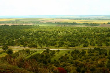 Macar peyzaj