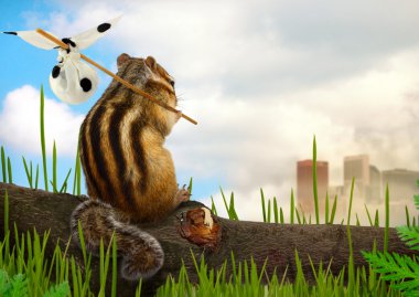 Chipmunk emigrant, ecology concept clipart