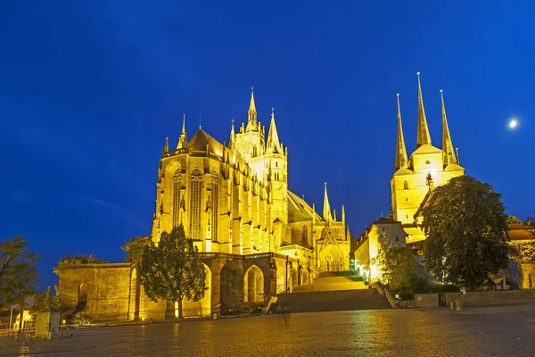 Catedral de Erfurt à noite — Fotografia de Stock