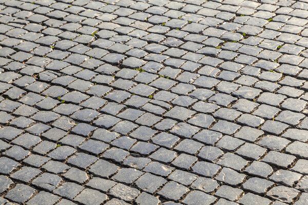 Old historic cobble stone street with moss