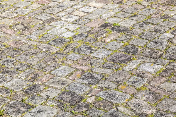 老卵石石头街与苔藓 — 图库照片