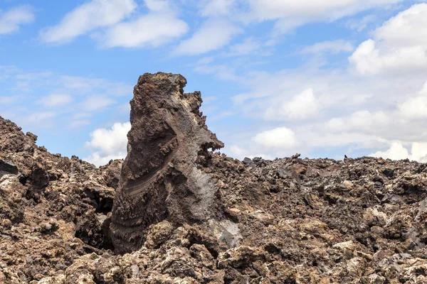Vulkanische stenen in timanfaya, lanzarote — Stockfoto
