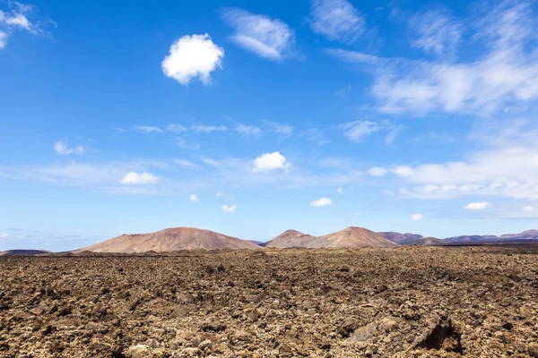 Area vulcanica a Lanzarote — Foto Stock