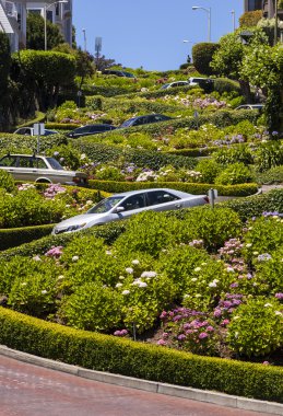 View of Lombard Street, the crookedest street in the world, San clipart