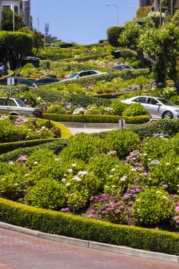 lombard street, crookedest sokak dünyanın görünümünü san