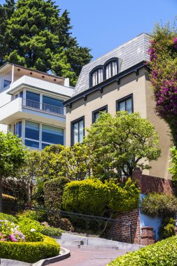 lombard street, crookedest sokak dünyanın görünümünü san