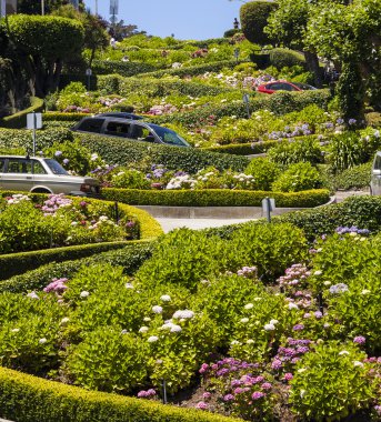 View of Lombard Street, the crookedest street in the world, San clipart