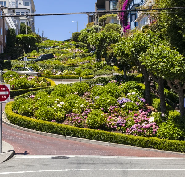Vista de Lombard Street, la calle más torcida del mundo, San —  Fotos de Stock