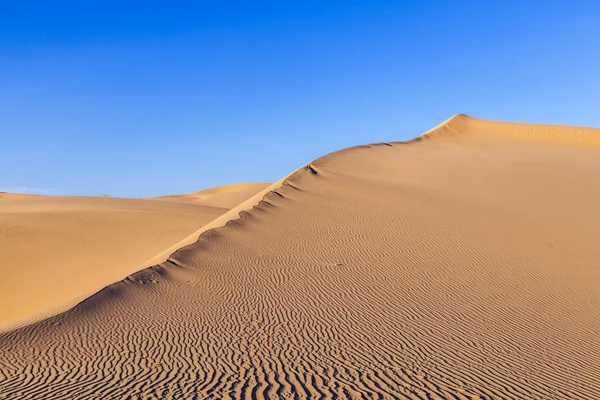 Песчаная дюна на восходе солнца в пустыне — стоковое фото