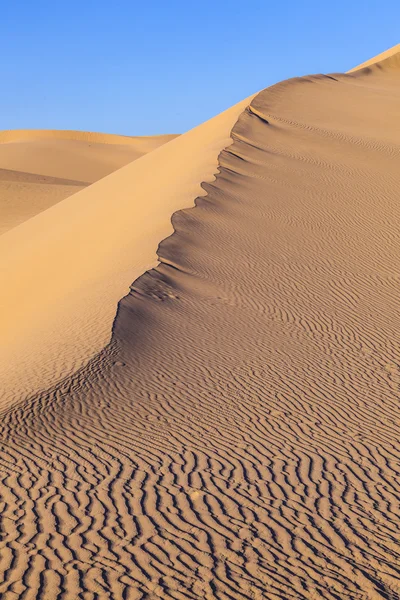 Dune di sabbia all'alba nel deserto — Foto Stock