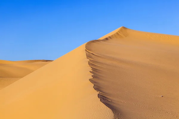 Sand dune in sunrise in the desert — Stock Photo, Image