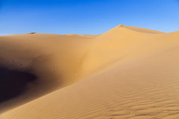 Sand dune in sunrise in the desert — Stock Photo, Image