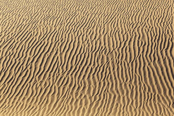 Písečné duny v sunrise v poušti — Stock fotografie