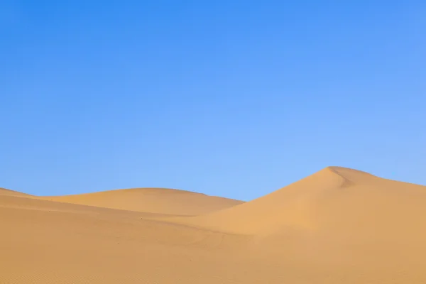 Duna de arena al amanecer en el desierto — Foto de Stock