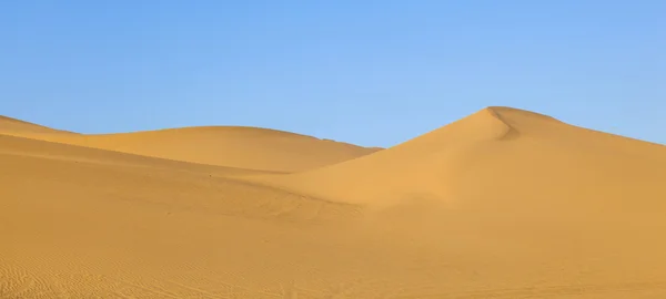 Wydmy w wschód słońca na pustyni — Zdjęcie stockowe
