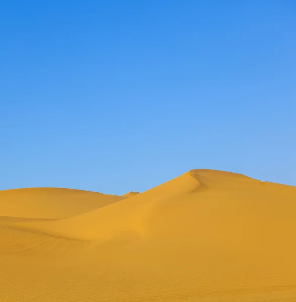 Sanddynen i soluppgången i öknen — Stockfoto