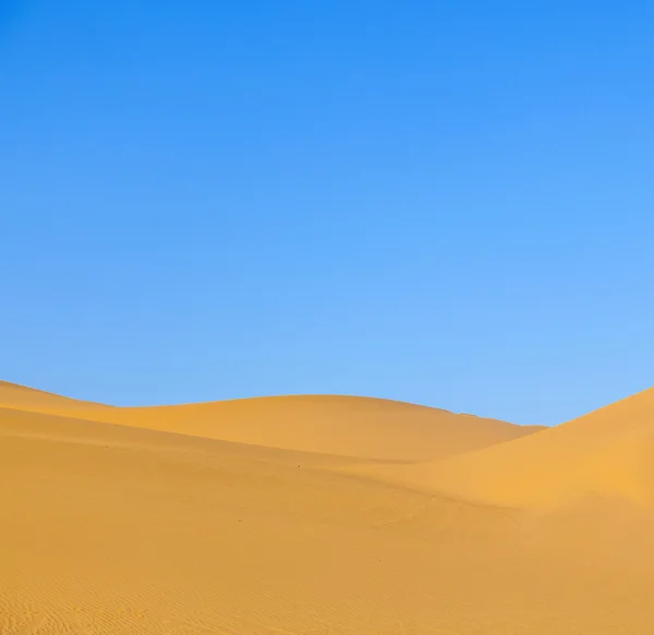 Sanddynen i soluppgången i öknen — Stockfoto