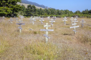 Old crosses at the historic orthodox cemetery of Fort Ross clipart