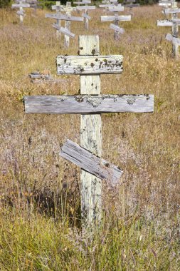 Old crosses at the historic orthodox cemetery of Fort Ross clipart