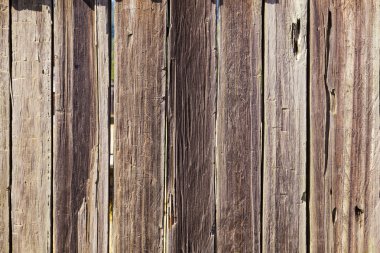 Fort Ross wooden walls clipart