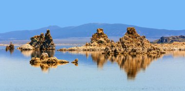 güzel mono Gölü üzerinde uçan california martı