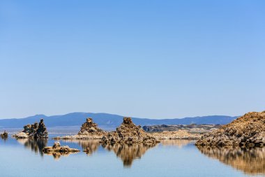 California gull flying over the beautiful Mono Lake clipart