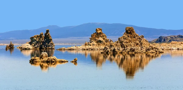 Gabbiano californiano che sorvola il bellissimo lago Mono — Foto Stock