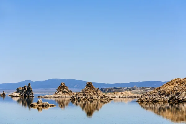 Goéland de Californie survolant le magnifique lac Mono — Photo