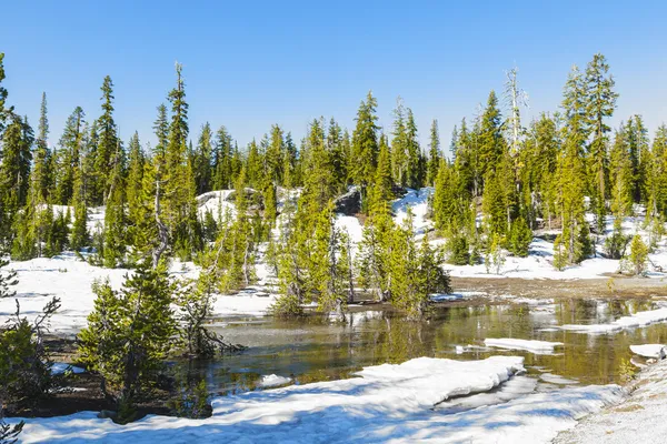 Sneeuw op de Lassen in het nationale park — Stockfoto