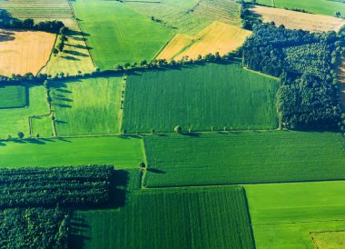 Aerial view of green fields and slopes clipart