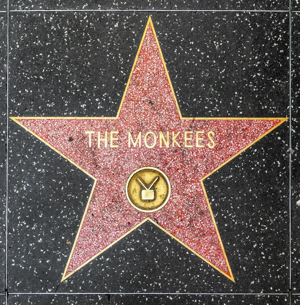 Monkee hvězdu na hollywood walk of fame — Stock fotografie