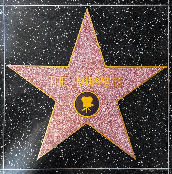 Звезда кукол на Голливудской Аллее Славы — стоковое фото