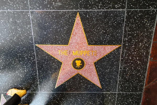 The Muppets star on Hollywood Walk of Fame — Stock Photo, Image