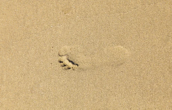 Pegada na praia — Fotografia de Stock