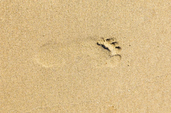 Odcisk stopy na plaży — Zdjęcie stockowe