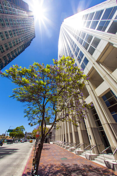 Центр Лос-Анджелеса