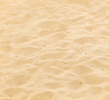 Pattern of sandy beach in the morning clipart