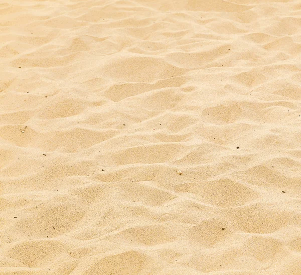 아침에 모래 해변의 패턴 — 스톡 사진