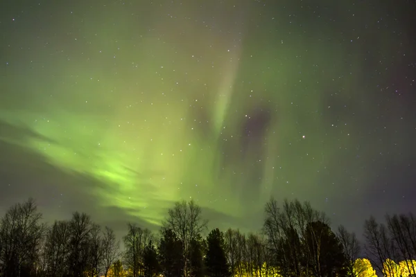 Çimen üzerinde Kuzey ışıkları (Kutup ışıkları). — Stok fotoğraf