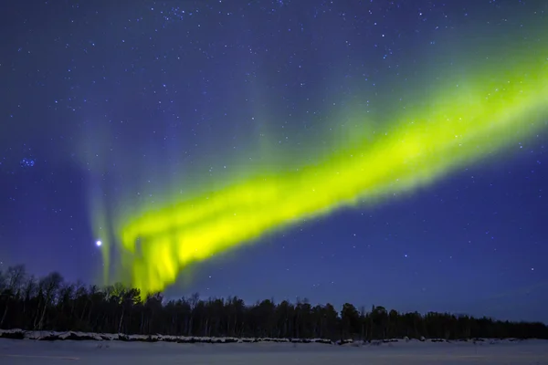 Aurores boréales (Aurora borealis) sur neige . — Photo