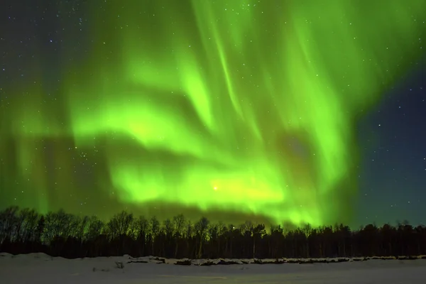 Northern Lights (Aurora borealis) sobre a neve . — Fotografia de Stock